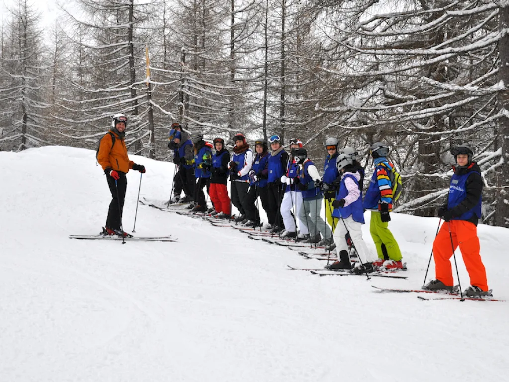 Skigruppe steht in einer Reihe vor verschneiten Bäumen.